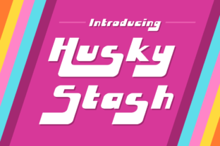 Husky Stash: A Greasy Funk Font with Retro Charm